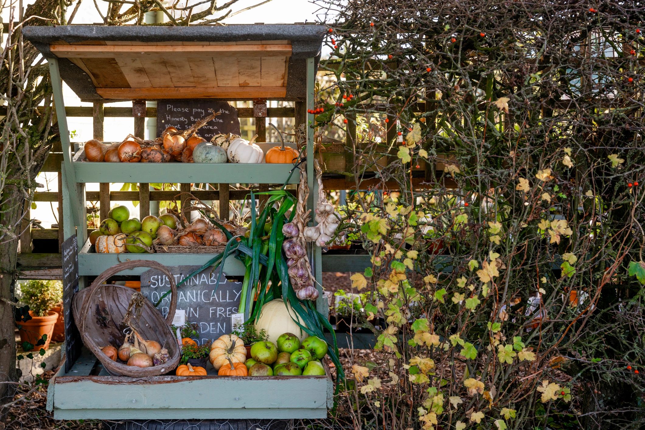 Organic farm produce stand with fresh vegetables