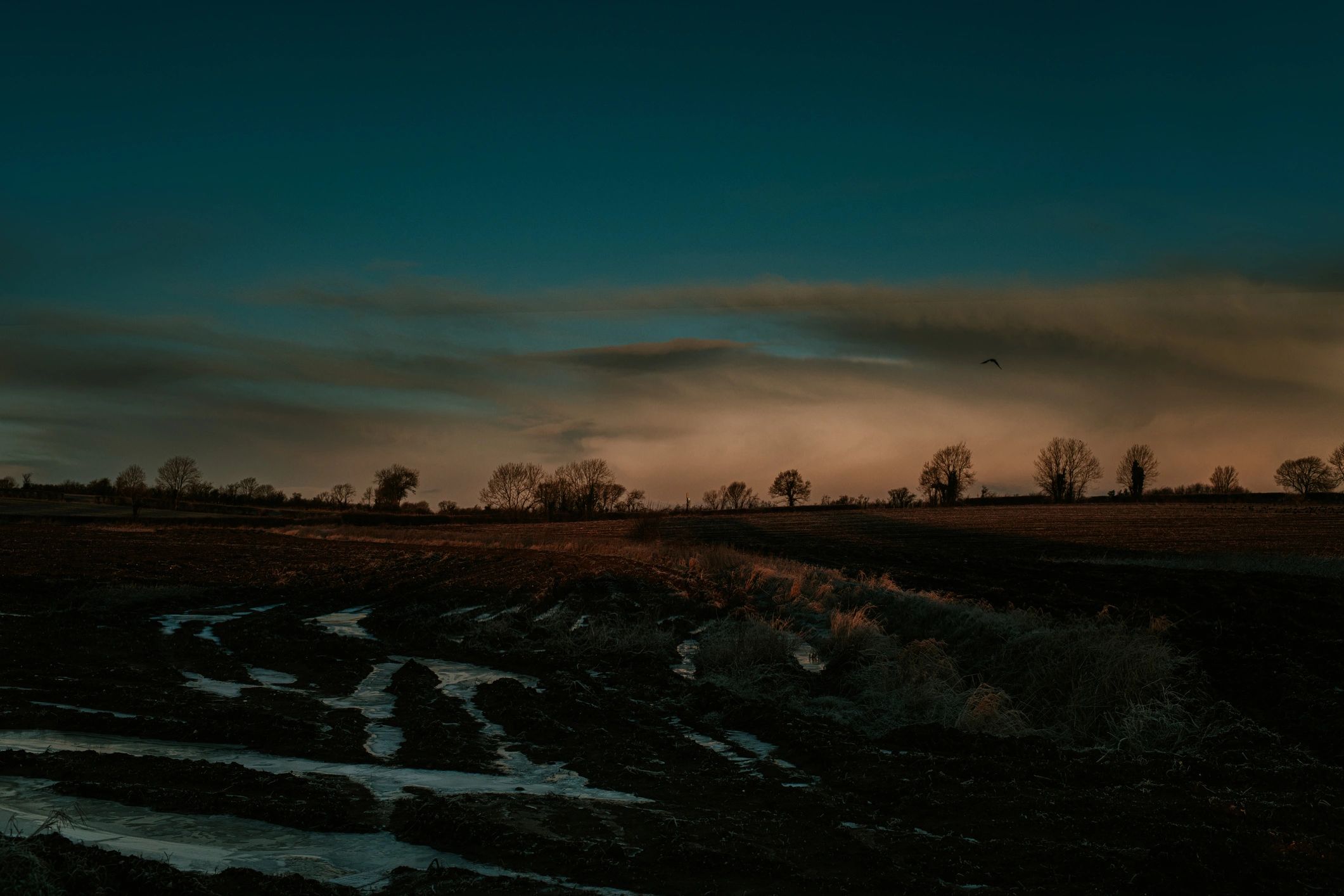 Sunrise over a field