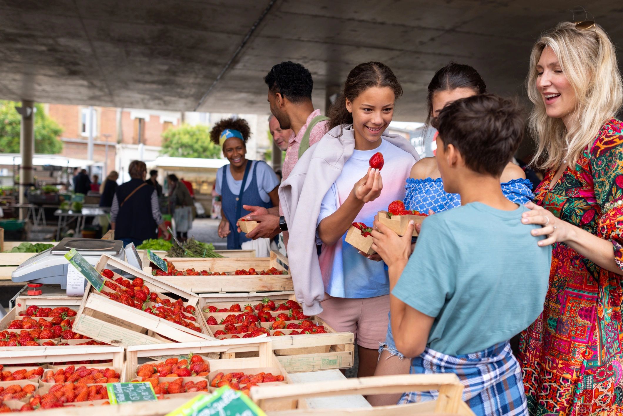 Family shopping for strawberries at an outdoor market