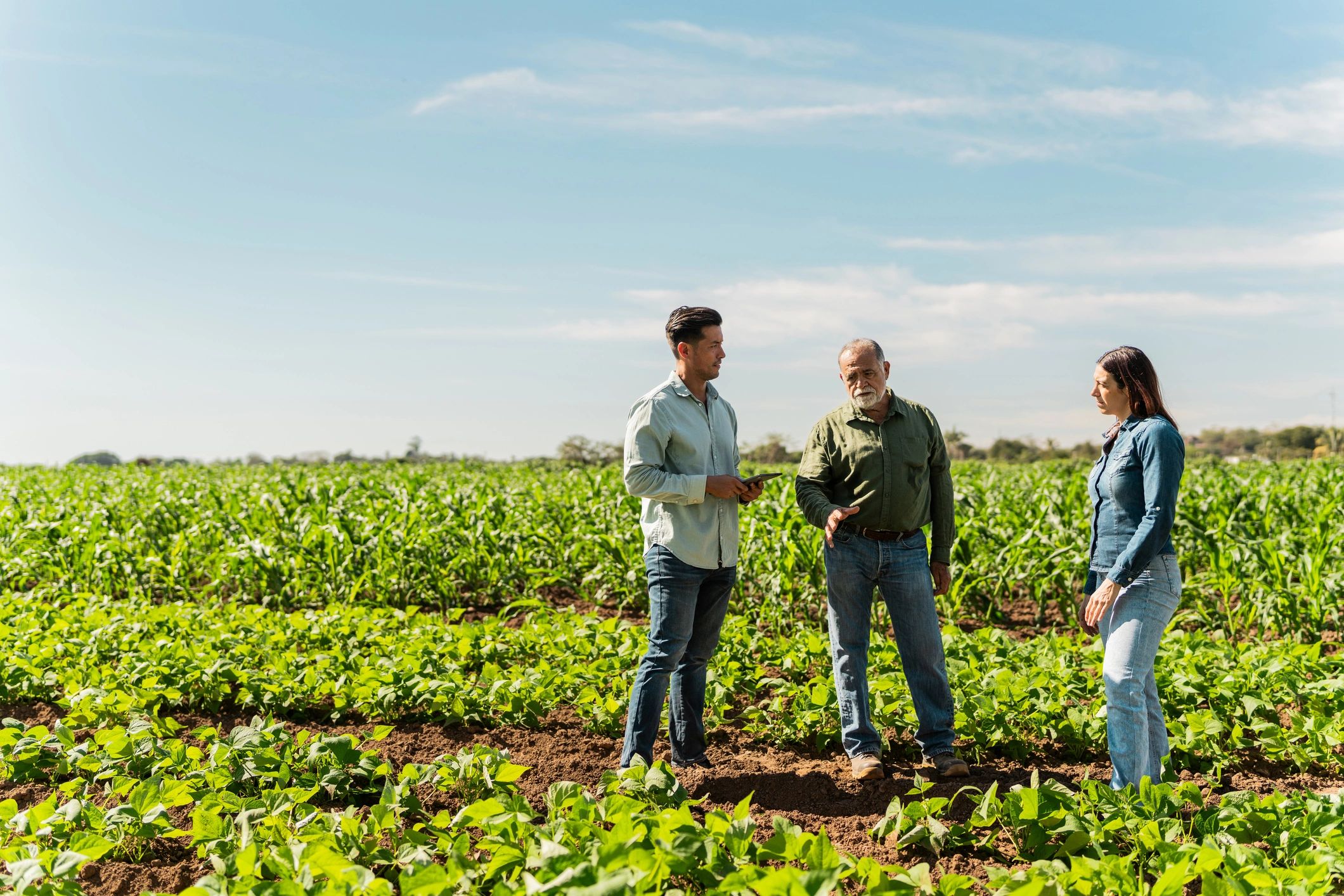 People talking in a farm field during a visit