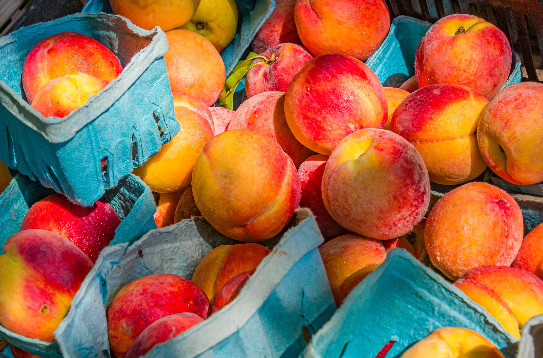 Fresh peaches with morning dew