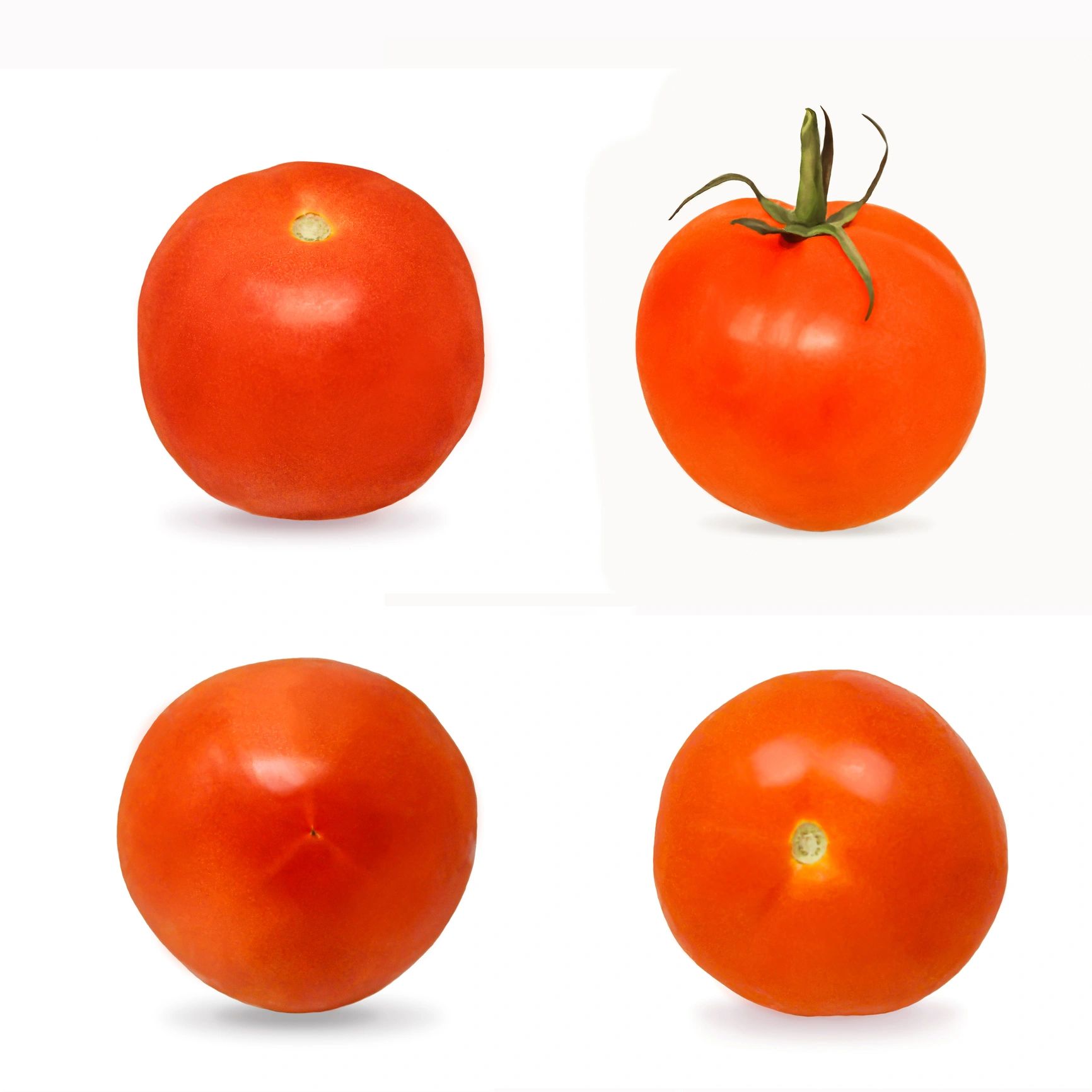 Close-up of ripe red tomatoes