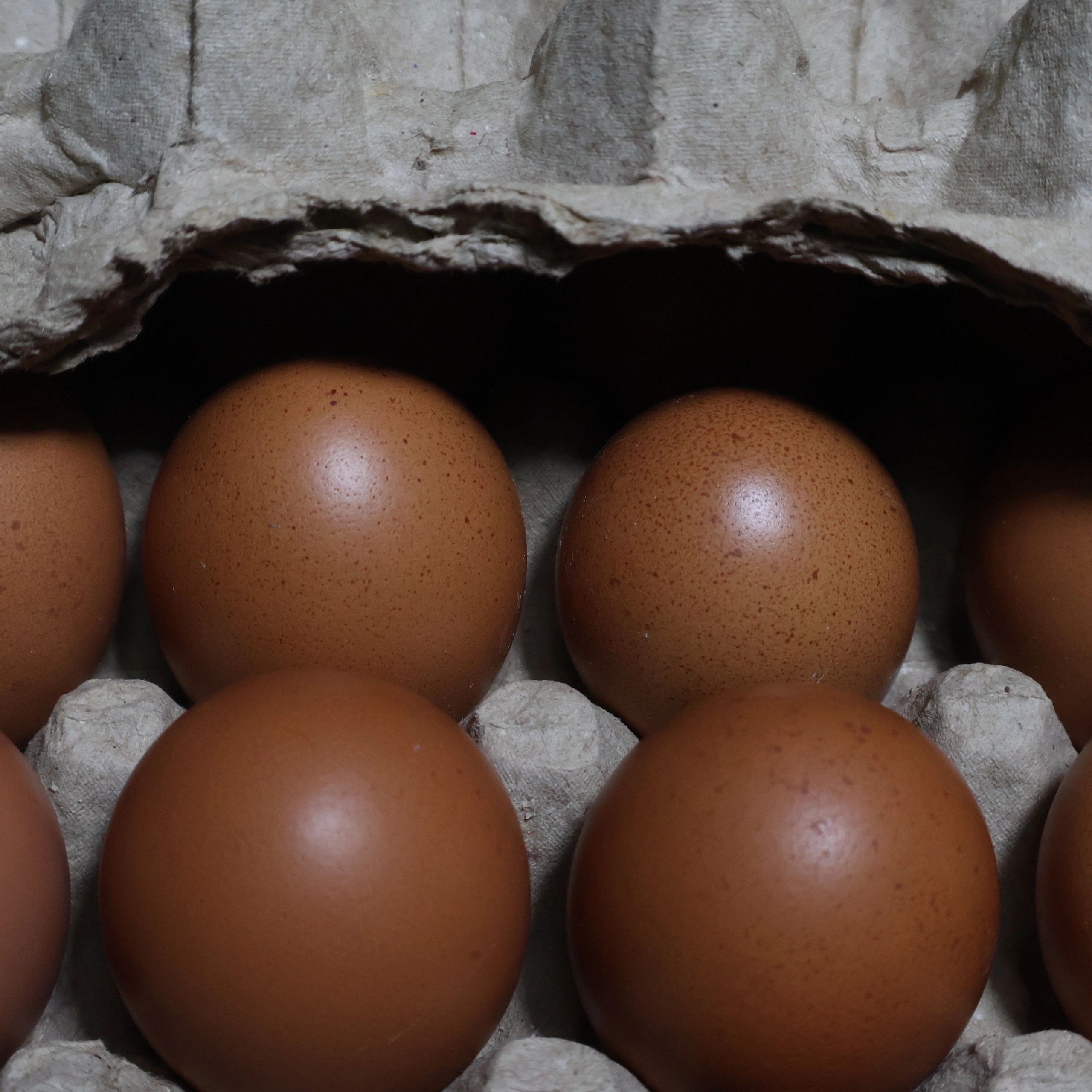 Farm eggs on a shelf