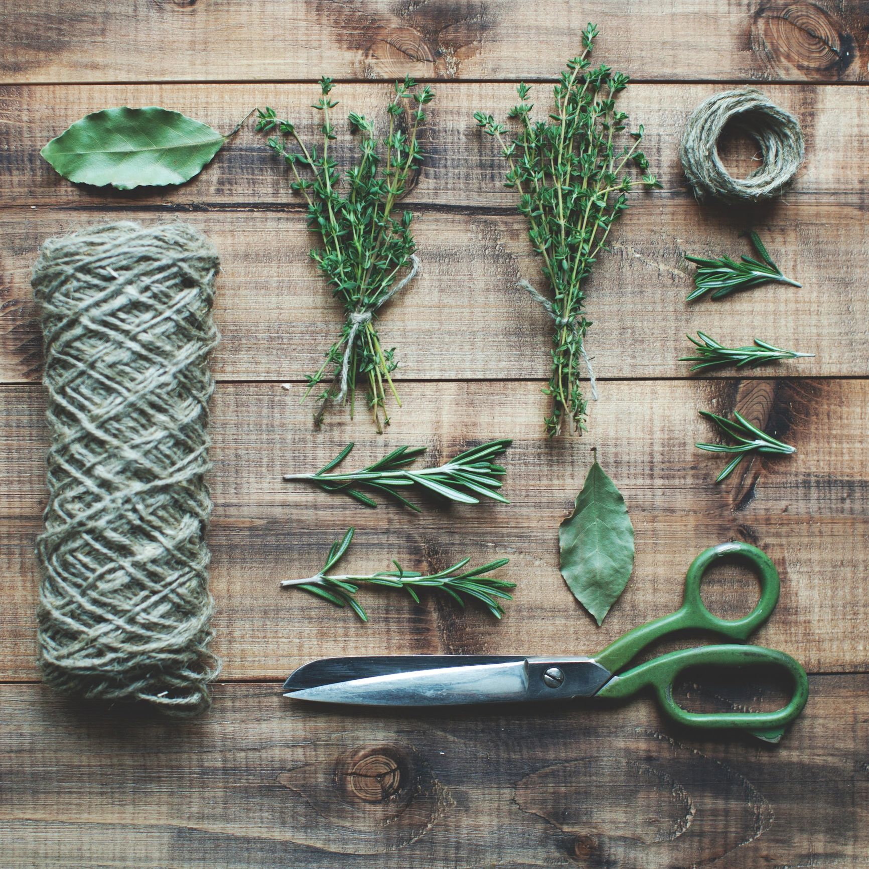 Bunch of fresh herbs